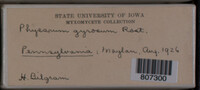Image Associated With the Occurence